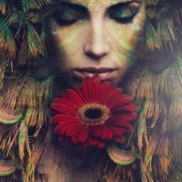 fantasy beautiful woman portrait with flower, composite photo