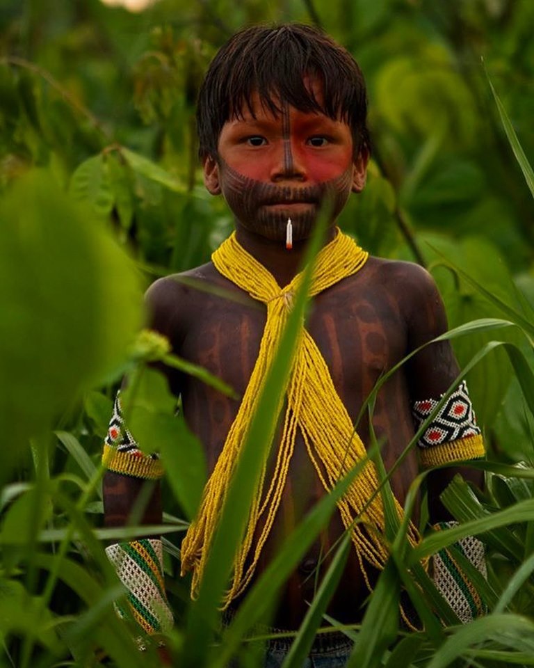 nós somos Amazônia