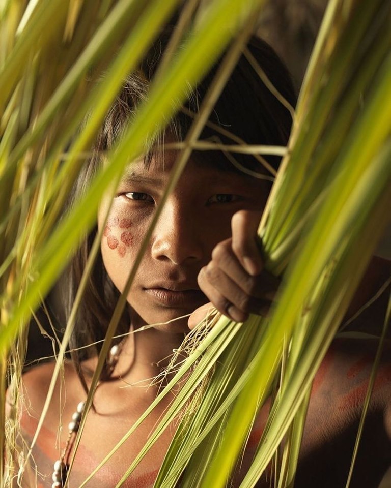 nós somos Amazônia