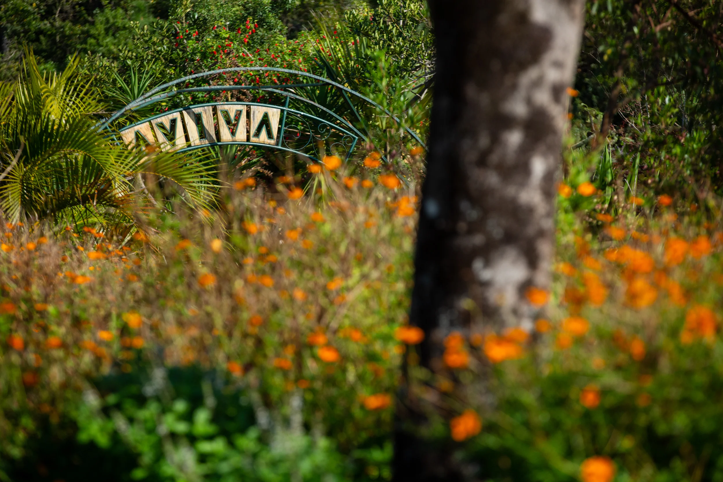 Retiro Sopro Ancestral - Florian[opolis SC - AVIVA