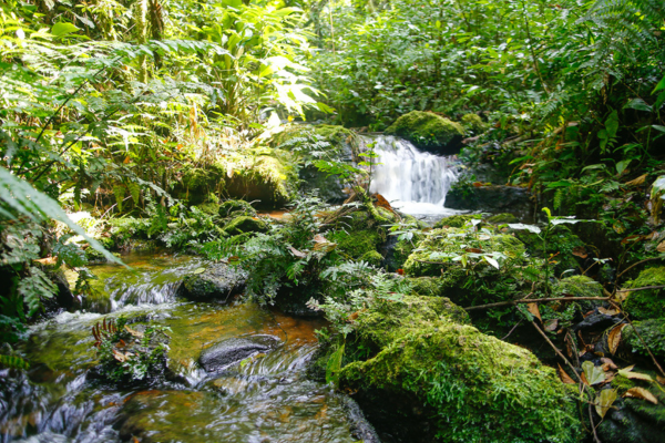 Vilarejo nucleo consciencia 3